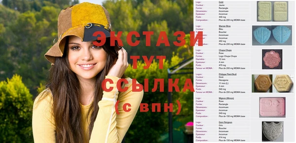 шишки Надым