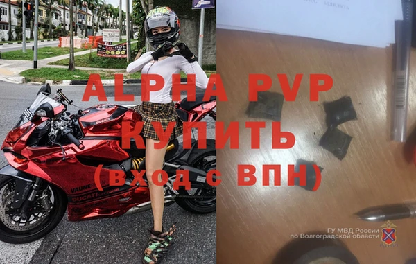 прущие крисы Медвежьегорск